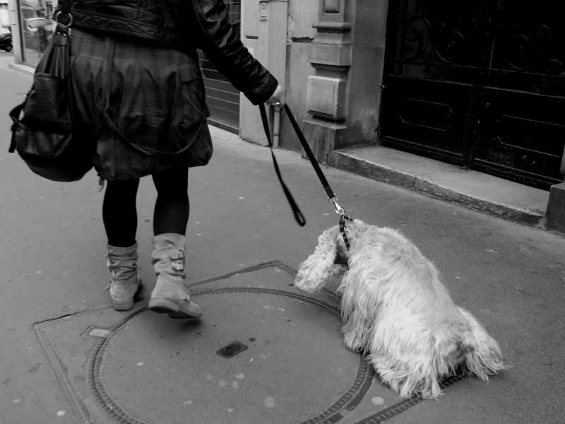 [Street snaps] PARIS MONOCHROME
